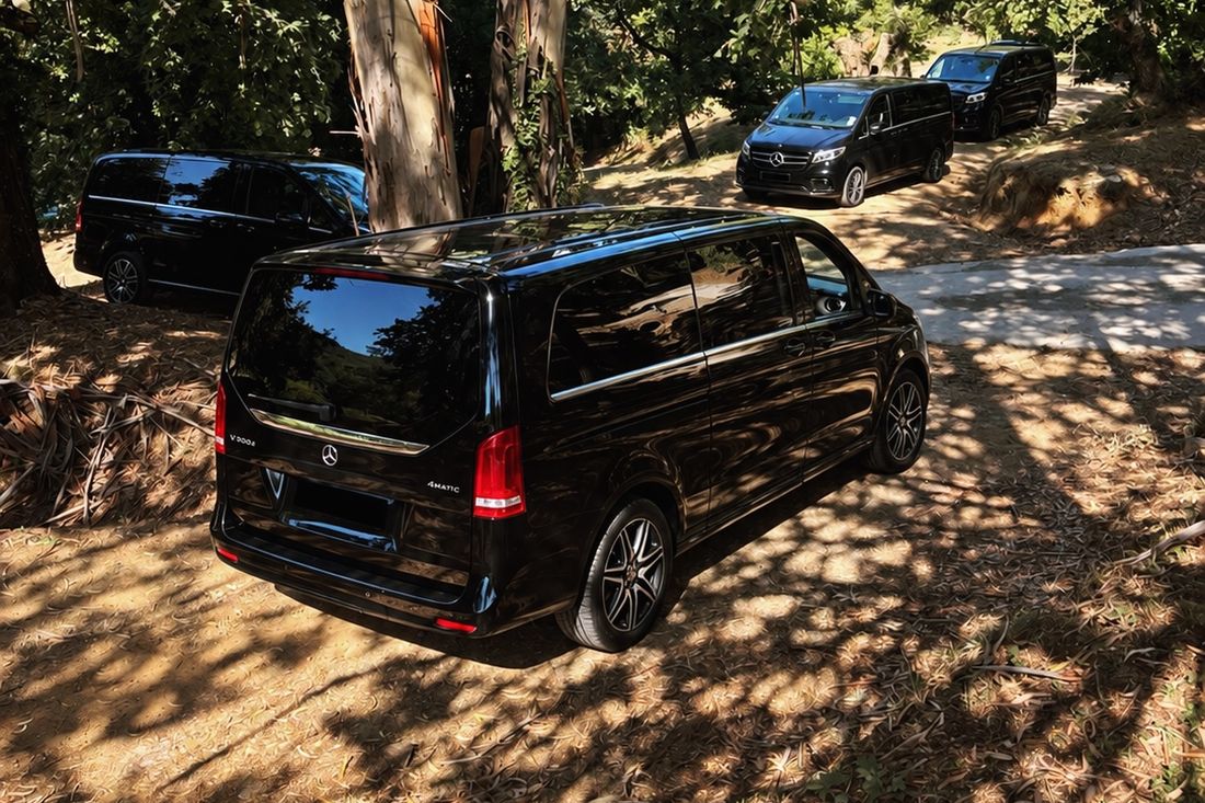 Black vans travelling together on a forest track
